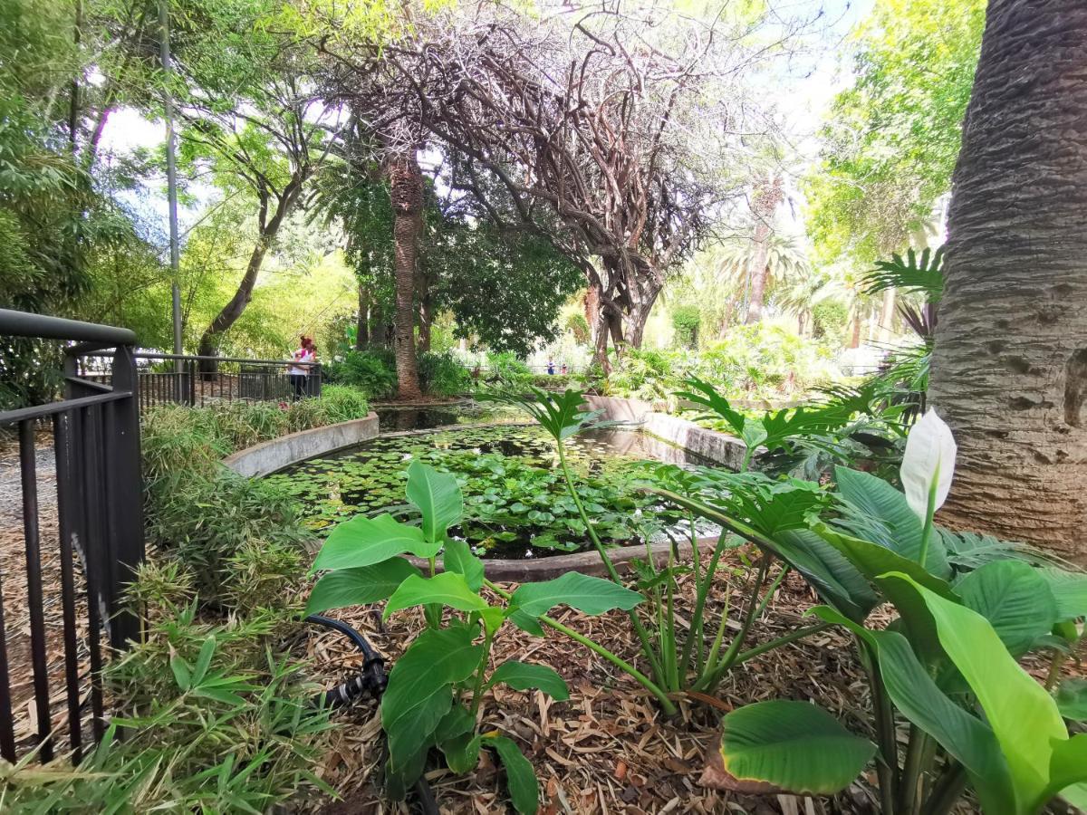 Home2Book Charming Apartment Santa Cruz, Wifi ภายนอก รูปภาพ